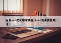 首页seo优化哪家便宜（seo首页优化电话）